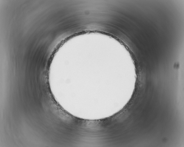 X0000112500832200909281155