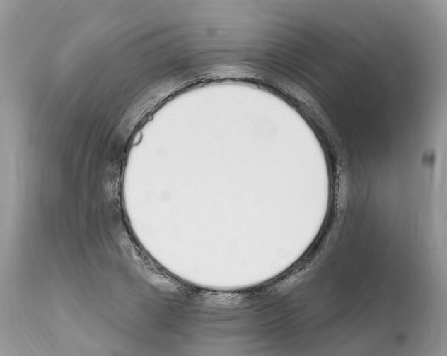 X0000112500833200909281155