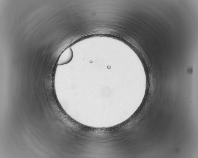 X0000112500834200909281155