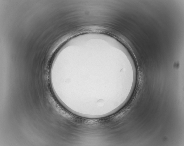 X0000112500835200909281155