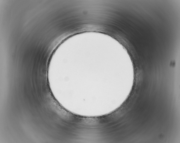 X0000112500836200909281155