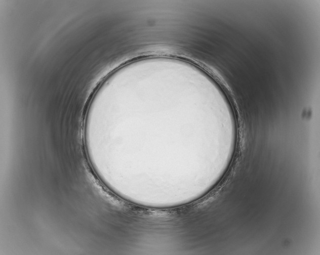 X0000112500839200909281155