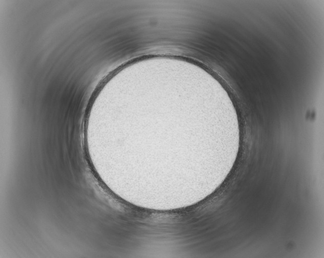 X0000112500840200909281155