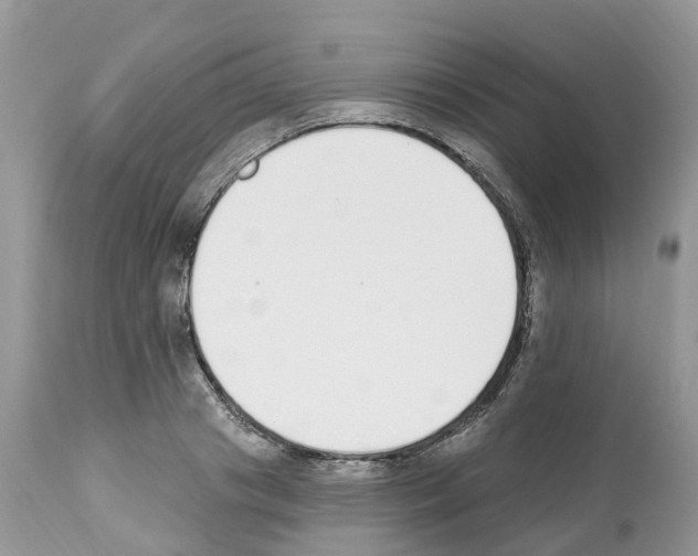 X0000112500841200909281155