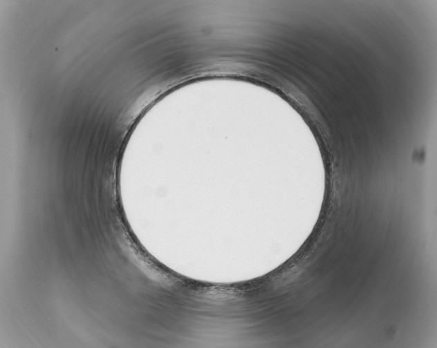 X0000112500842200909281155