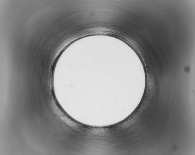 X0000112500843200909281155