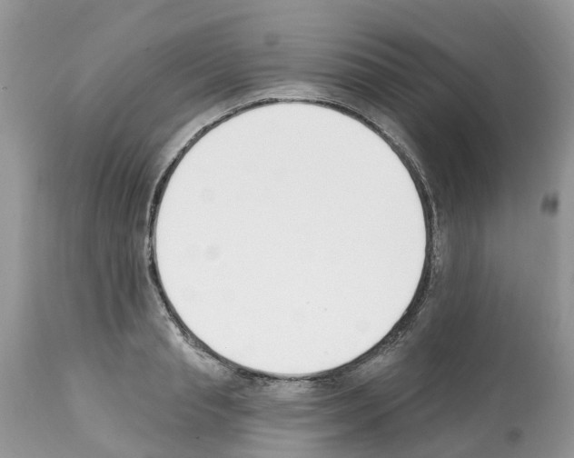 X0000112500845200909281155