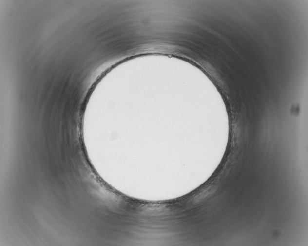 X0000112500846200909281155