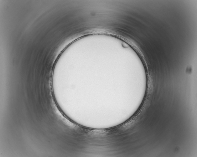 X0000112500847200909281155