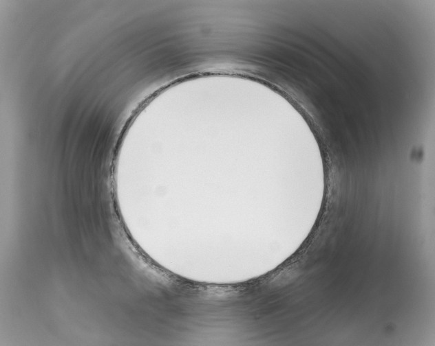 X0000112500848200909281155