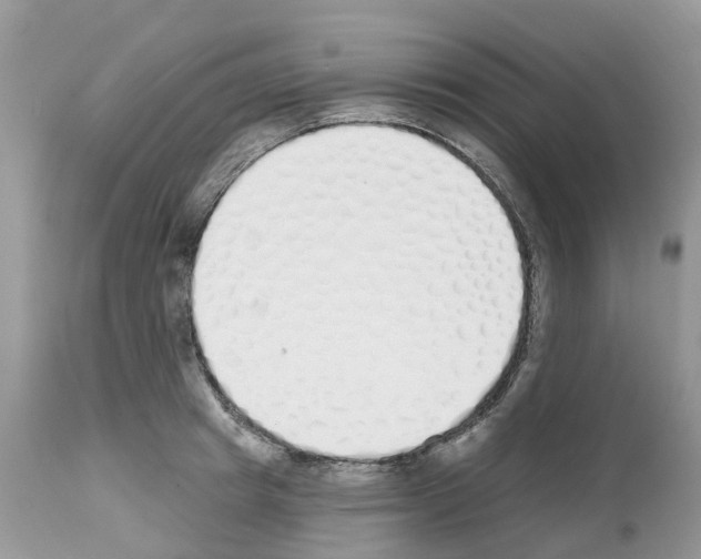 X0000112500849200909281155