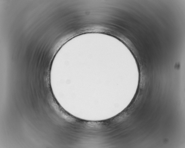 X0000112500850200909281155