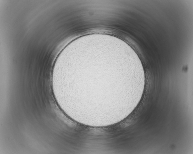 X0000112500852200909281155