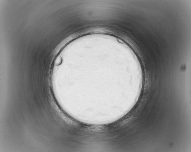 X0000112500853200909281155