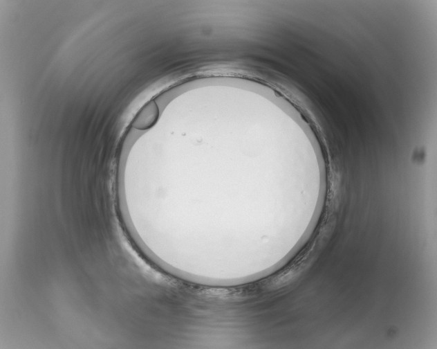 X0000112500855200909281155