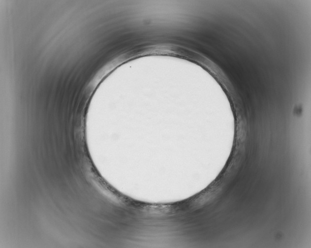 X0000112500858200909281155