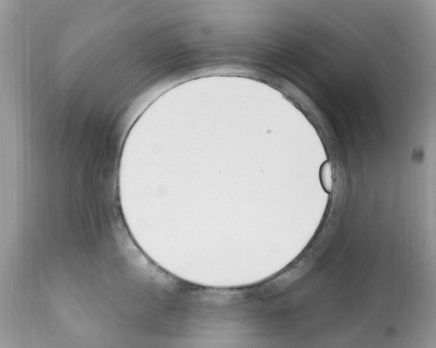 X0000112500860200909281155