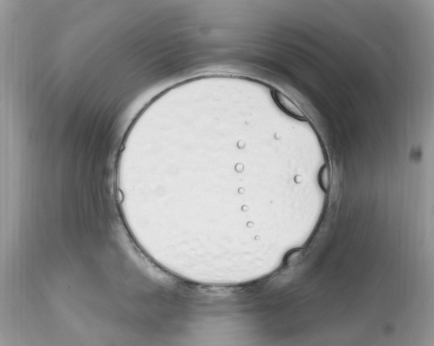 X0000112500862200909281155