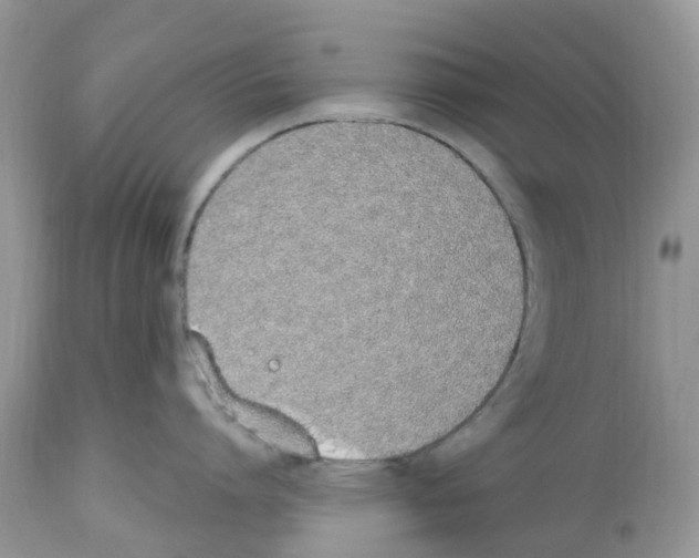 X0000112500864200909281155