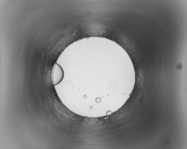 X0000112500866200909281155