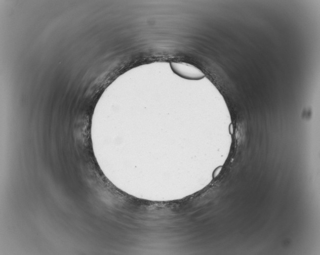 X0000112500867200909281155