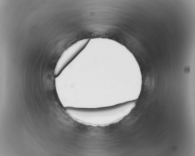 X0000112500868200909281155