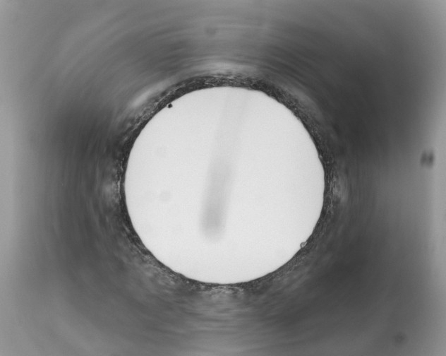 X0000112500869200909281155