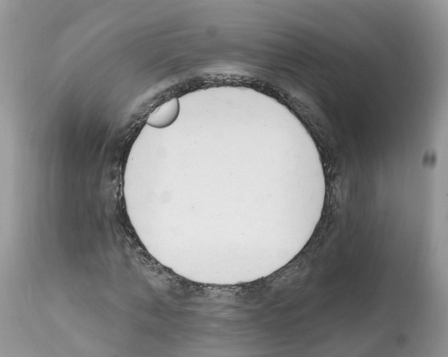 X0000112500870200909281155