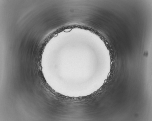 X0000112500872200909281155