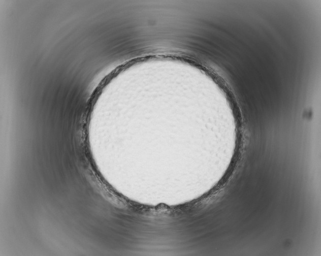 X0000112500875200909281155