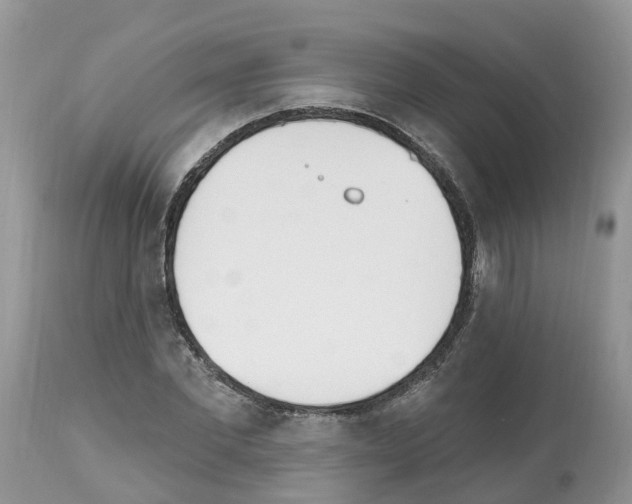 X0000112500877200909281154