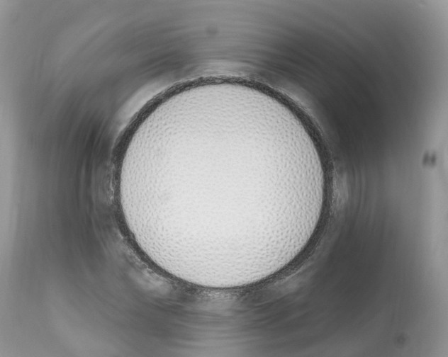 X0000112500878200909281154