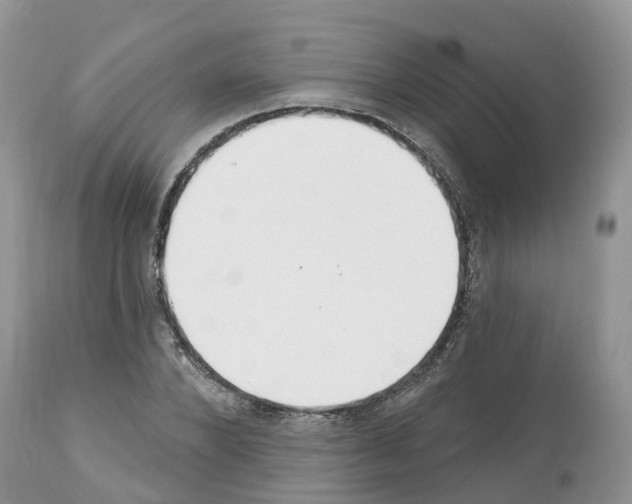 X0000112500880200909281154