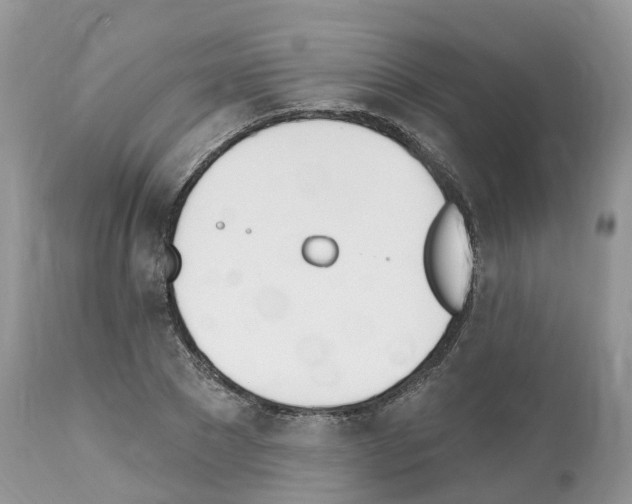 X0000112500881200909281154