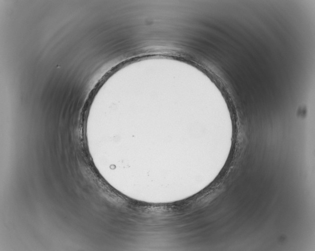 X0000112500883200909281154