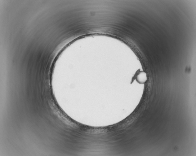 X0000112500884200909281154