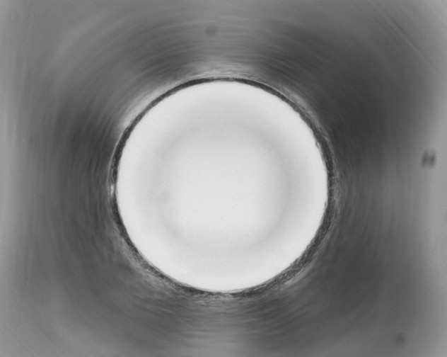 X0000112500885200909281154