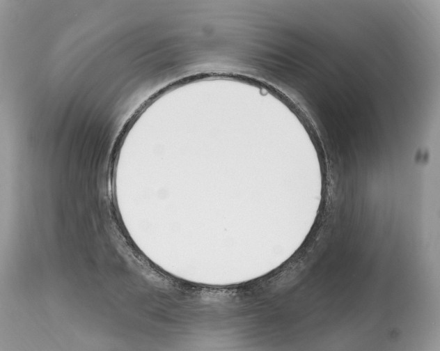 X0000112500887200909281154