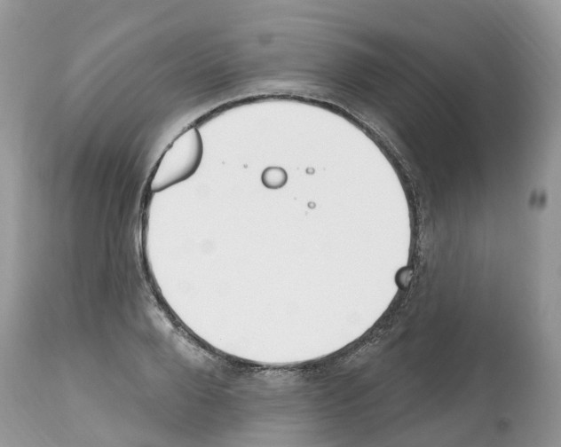 X0000112500888200909281154