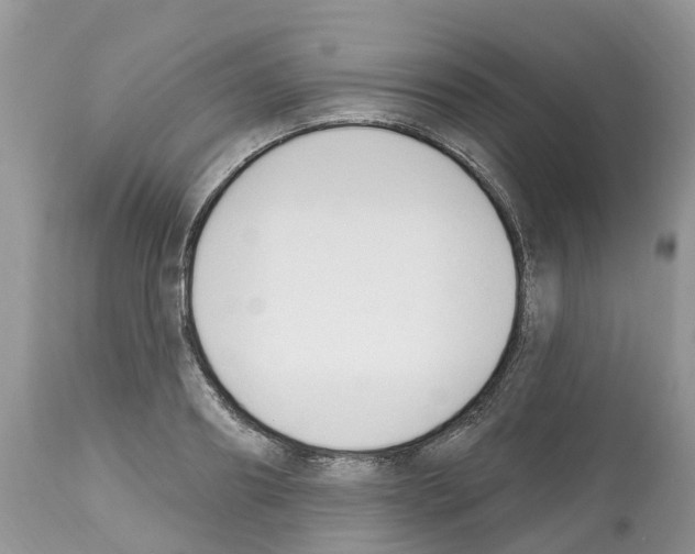 X0000112500890200909281154