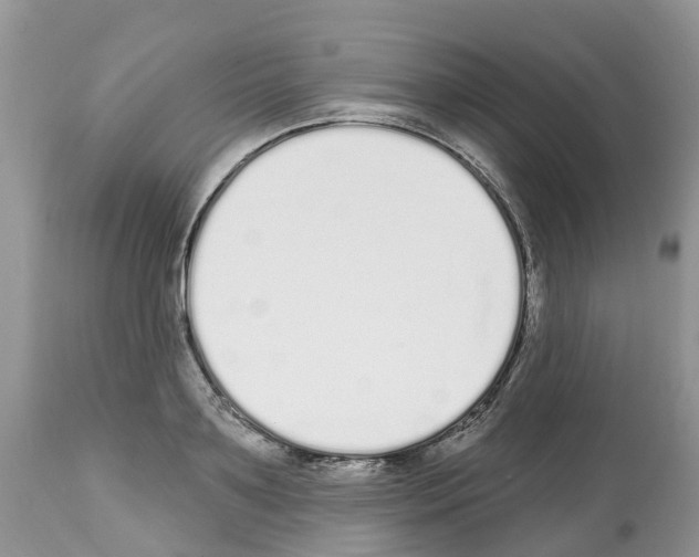 X0000112500891200909281154