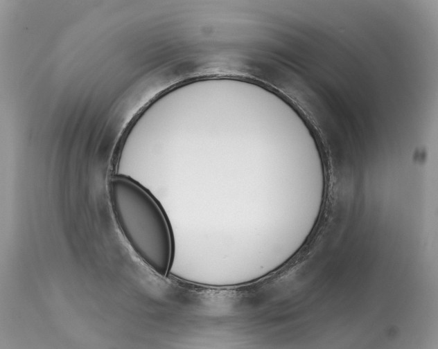 X0000112500893200909281154