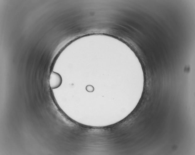 X0000112500894200909281154