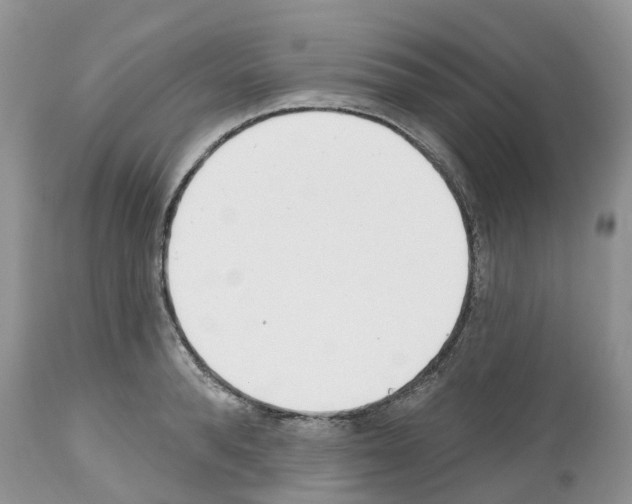 X0000112500896200909281154