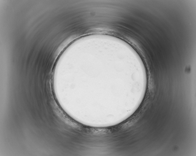 X0000112500899200909281154