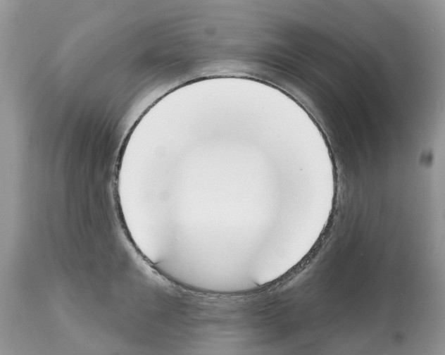 X0000112500901200909281154