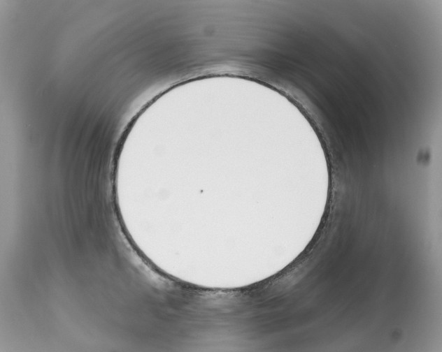 X0000112500902200909281154