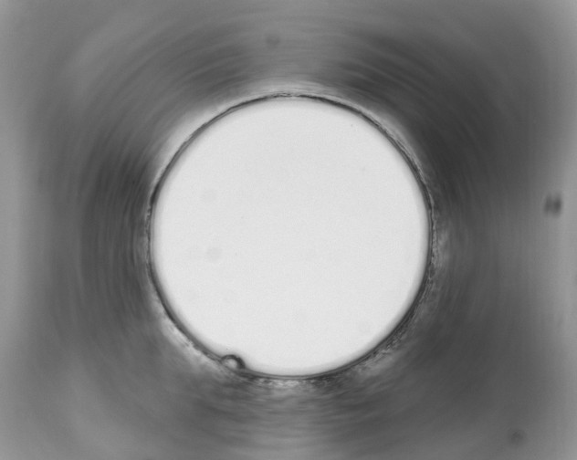 X0000112500903200909281154