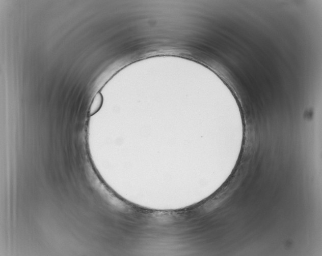 X0000112500906200909281154