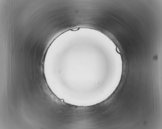 X0000112500908200909281154